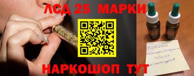 ПСИЛОЦИБИНОВЫЕ ГРИБЫ Гатчина