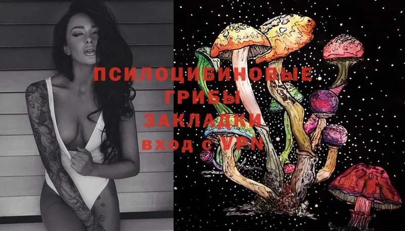 KRAKEN tor  Калуга  Псилоцибиновые грибы MAGIC MUSHROOMS 