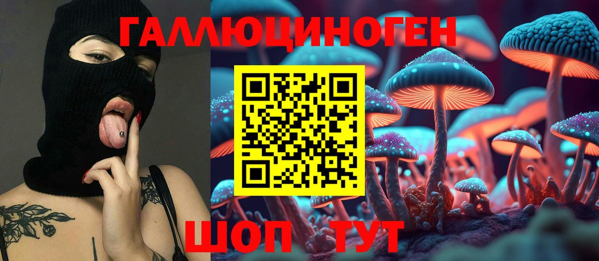 ГАШ Калуга