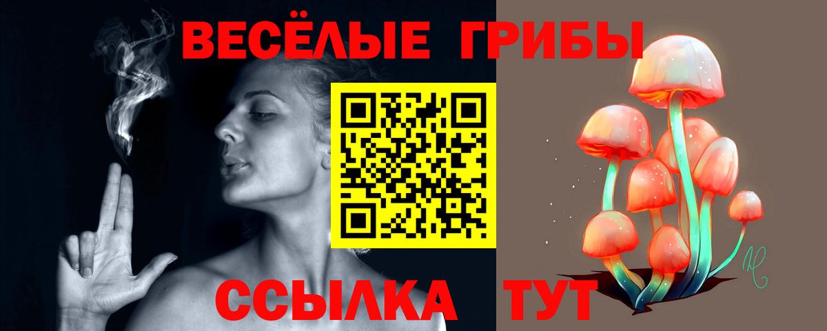 Псилоцибиновые грибы ЛСД Калуга