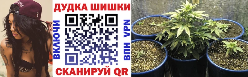 Бошки марихуана марихуана  мега tor  Калуга 